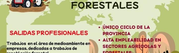 NUEVO CICLO FORMATIVO DE GRADO BÁSICO