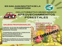 NUEVO CICLO FORMATIVO DE GRADO BÁSICO
